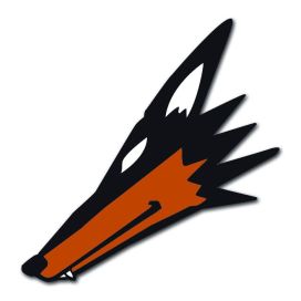 FC Customkiekot